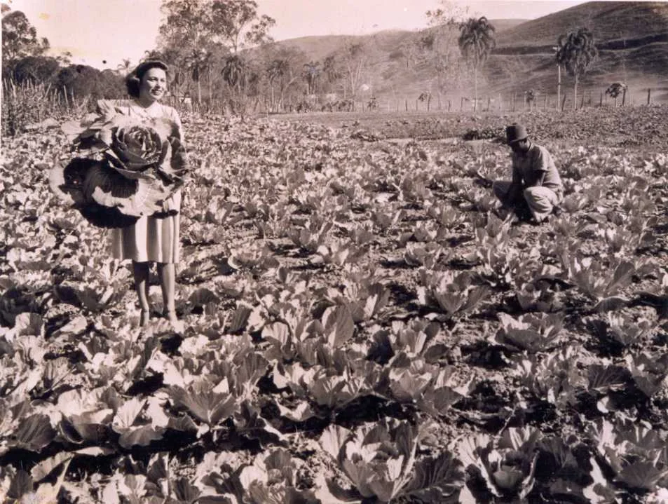 Fotografia histórica de Volta Redonda em identificação