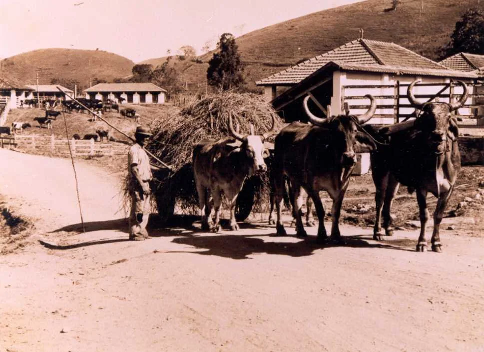 Fotografia histórica de Volta Redonda em identificação